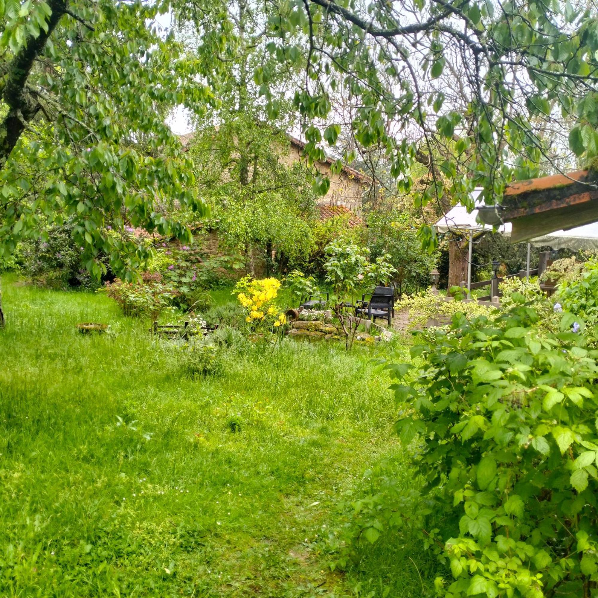 Chambres D'Hotes D'Antardieu Saint-Junien Zewnętrze zdjęcie